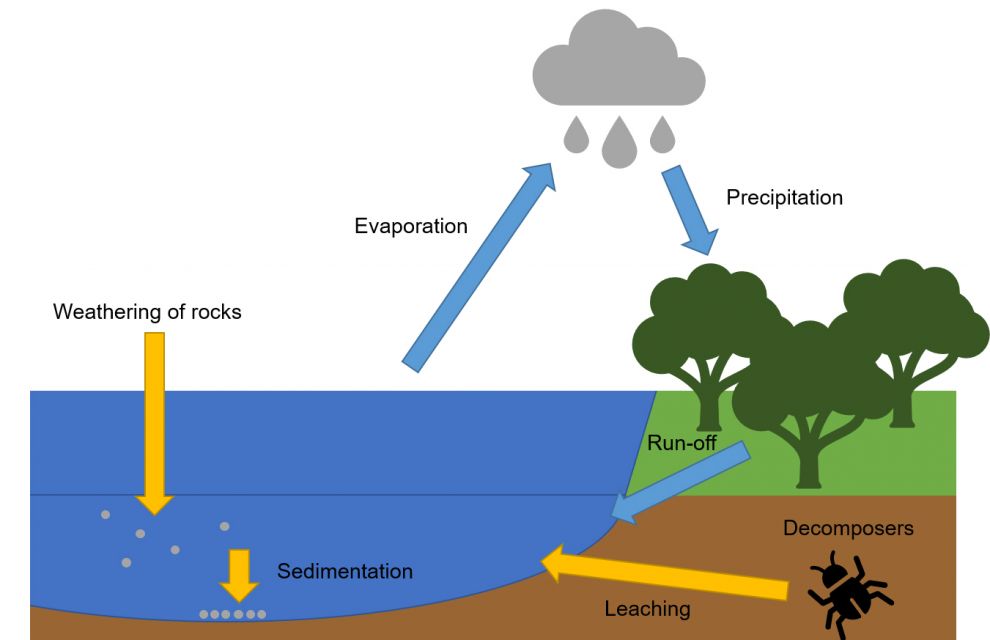 what-is-the-phosphate-cycle-revealing-the-ocean-s-hidden-fertilizer